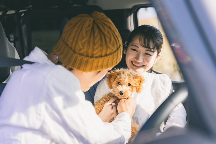 週末に車でお出かけする男女と犬