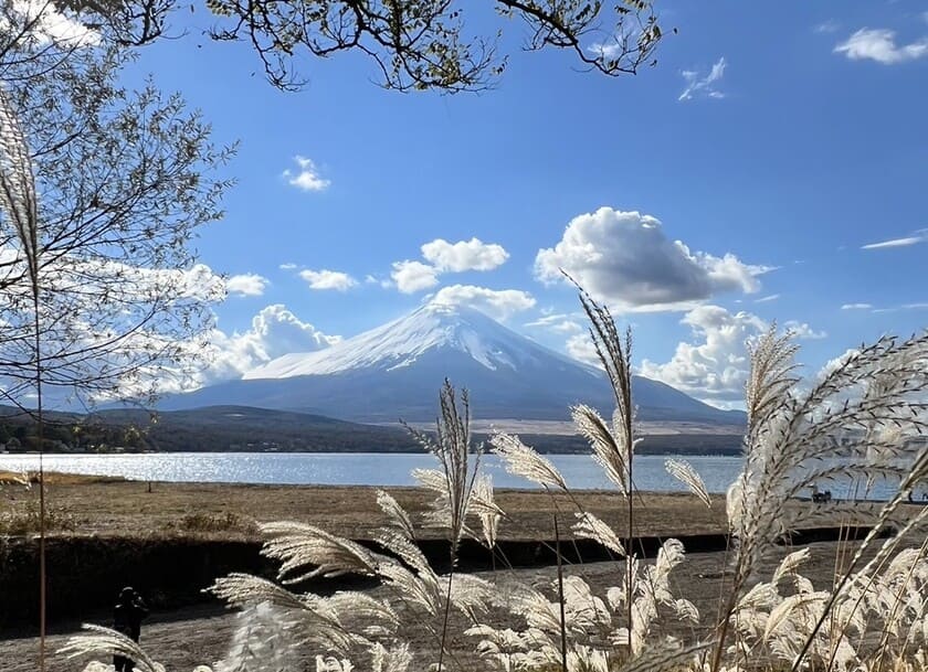 わずかな時間、とってもきれいに見えた富士山！！！