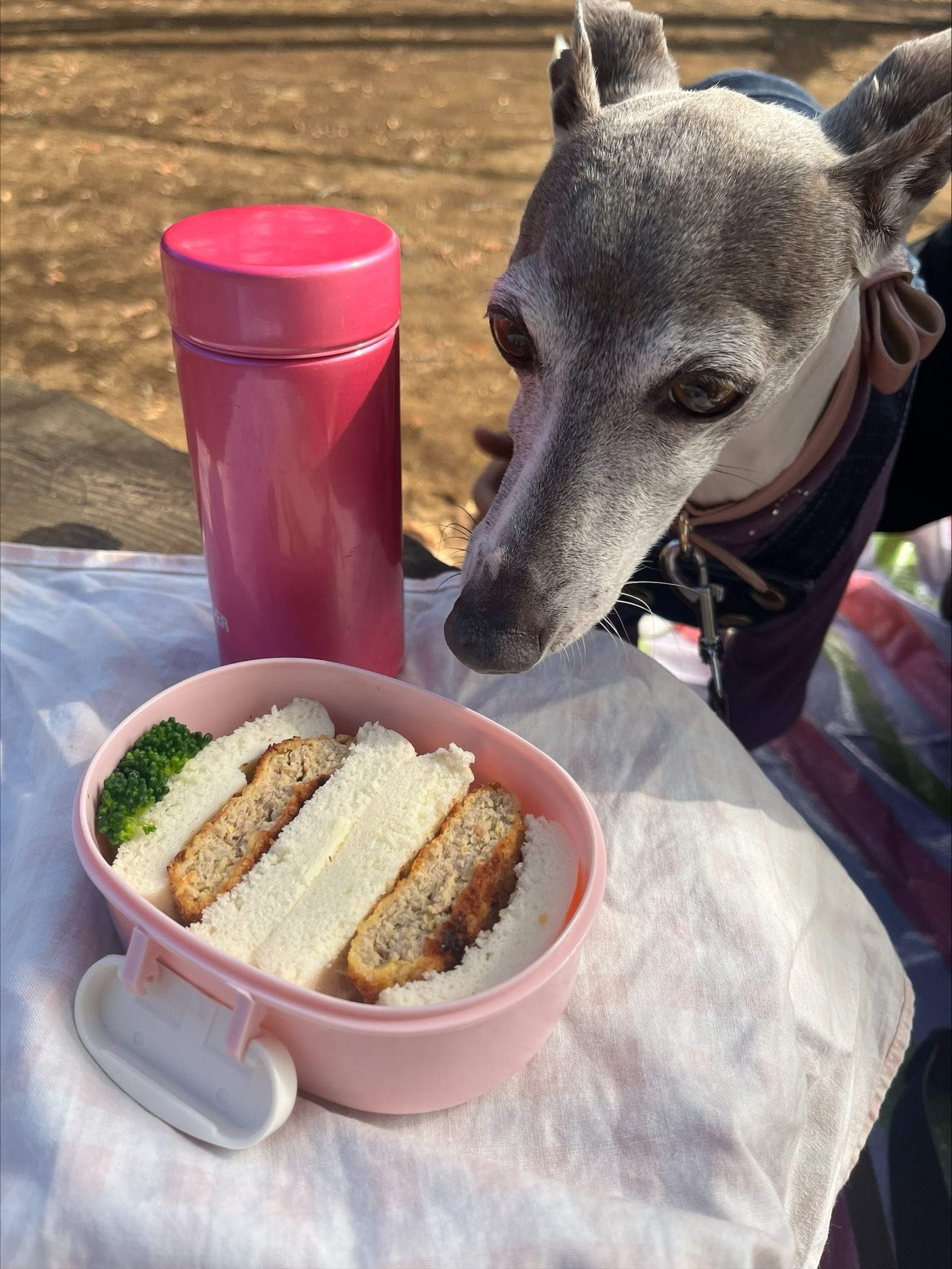 揚げない！メンチカツサンド弁当