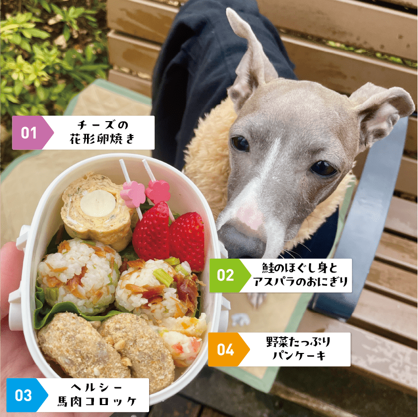 愛犬用お花見弁当