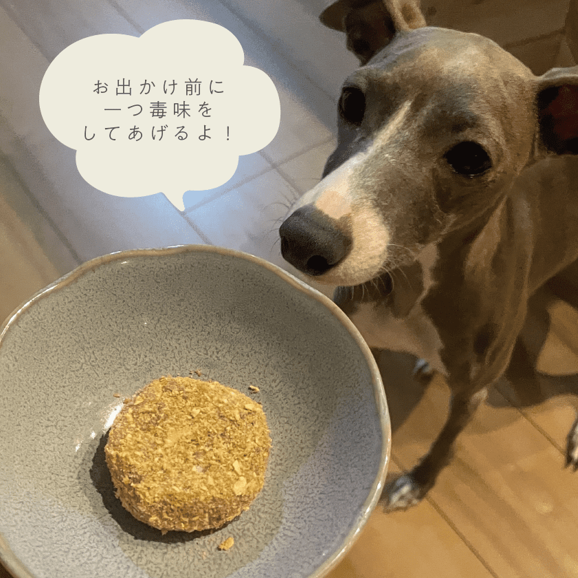 コロッケを食べるスタッフ犬オリ