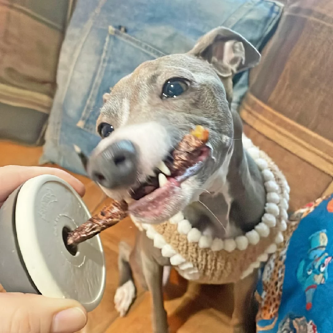 おやつホルダーを使ってカミカミおやつを食べている画像