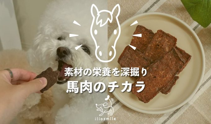 馬肉のチカラのメイン画像