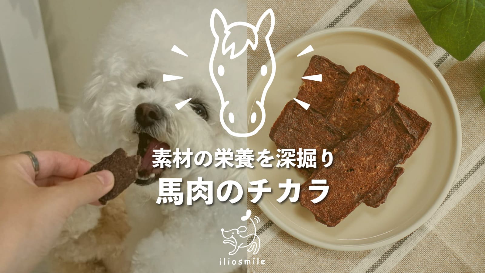 馬肉のチカラのメイン画像