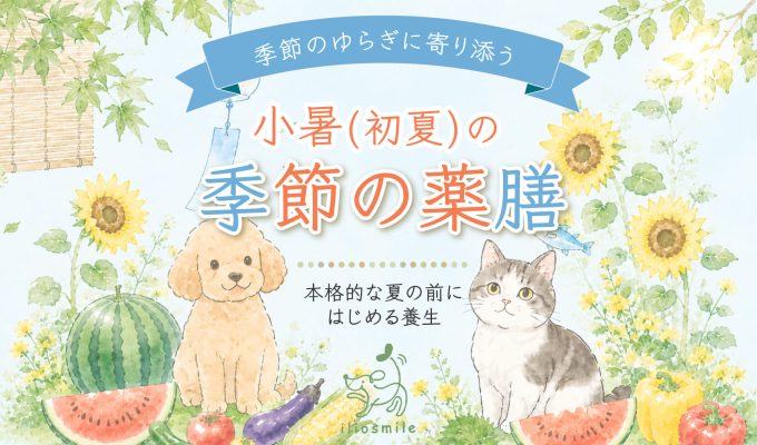 小暑の季節の薬膳