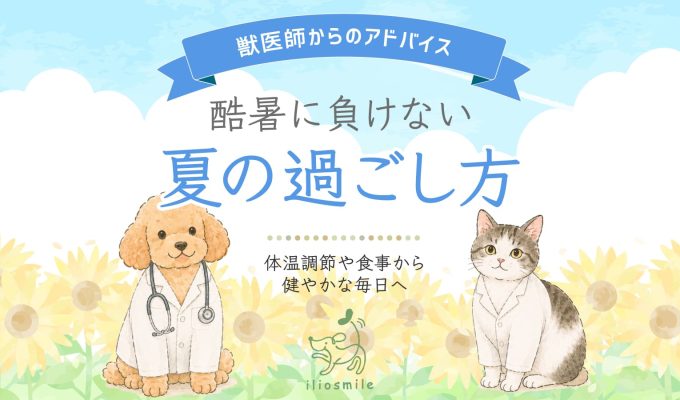 夏の過ごし方メイン画像