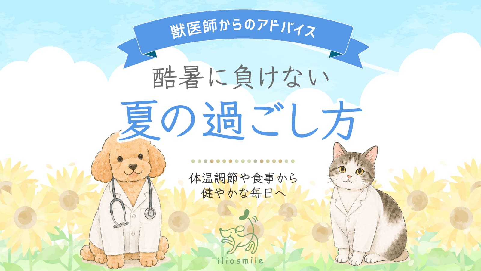 夏の過ごし方メイン画像